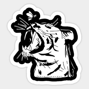 Tigerboi Sticker